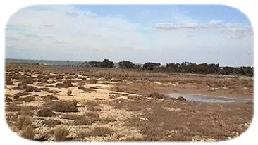 Nationaal Park Coto Do&ntilde;ana