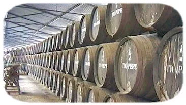 Bodega T&iacute;o Pepe Gonzales Byass in Jerez de la Frontera