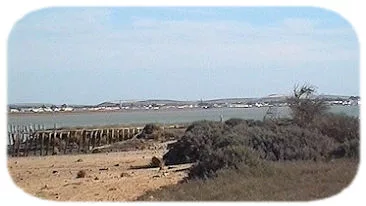 Andalusi&euml;